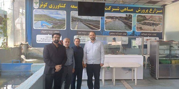 پرورش ماهیان خاویاری