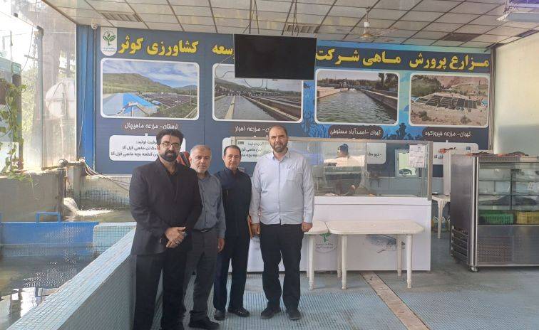 پرورش ماهیان خاویاری پرورش ماهیان خاویاری
