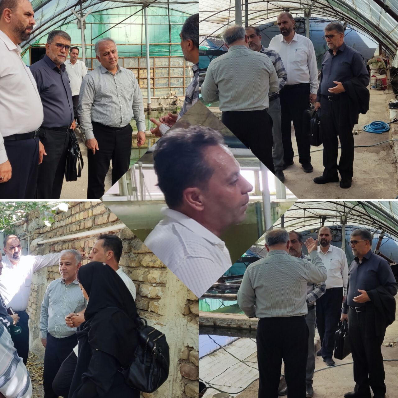 مزرعه پرورش ماهیان زینتی