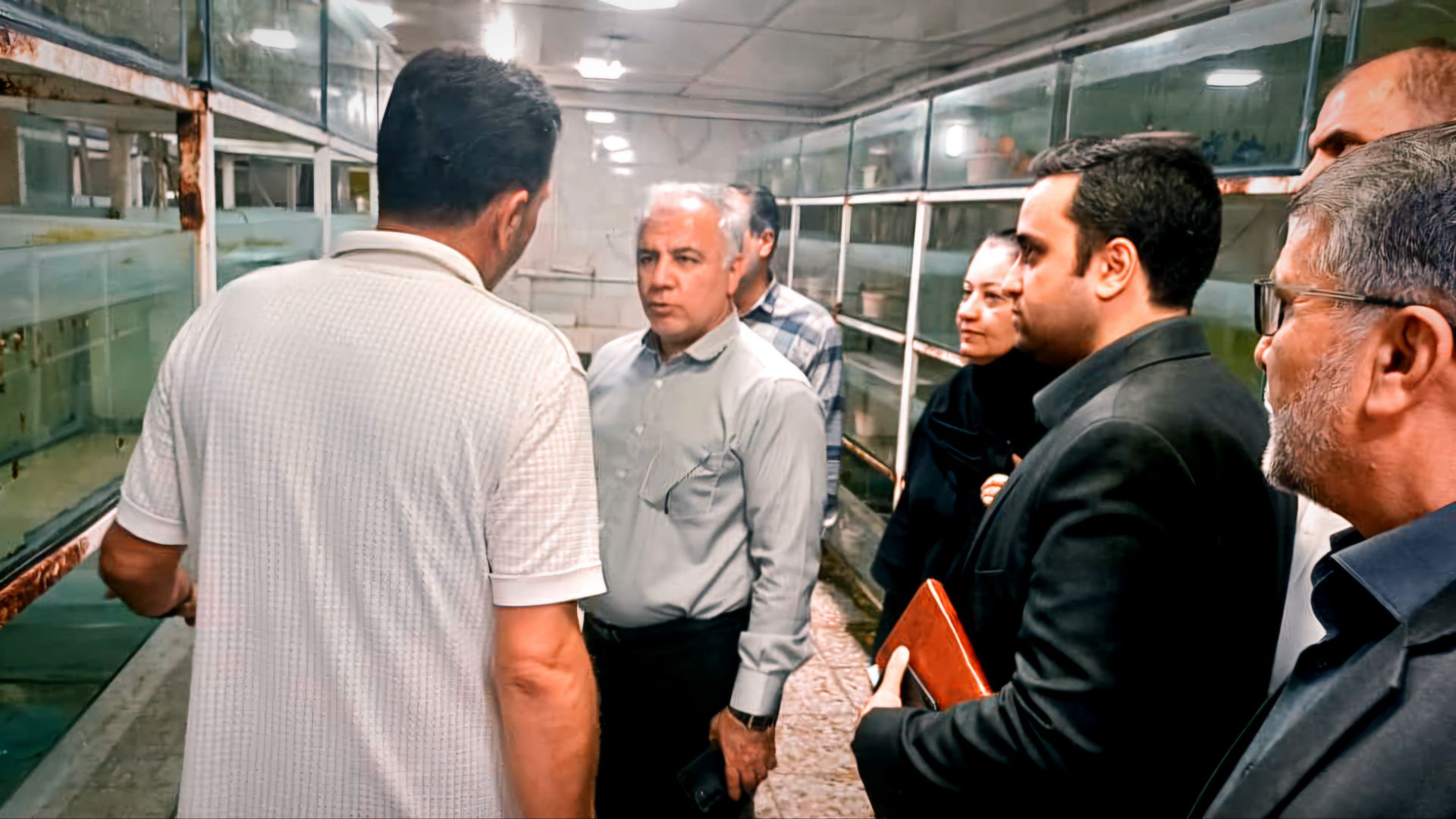 بهره وری مزارع