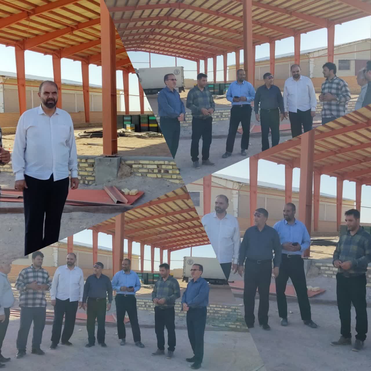 تکمیل زنجیره ارزش شیلات