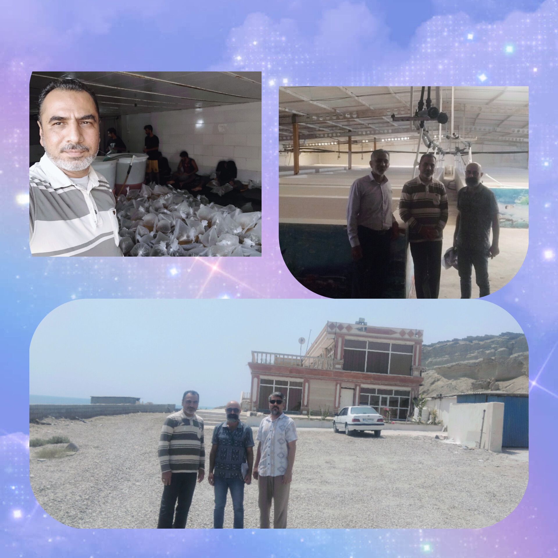 مجموعه تکثیر میگو