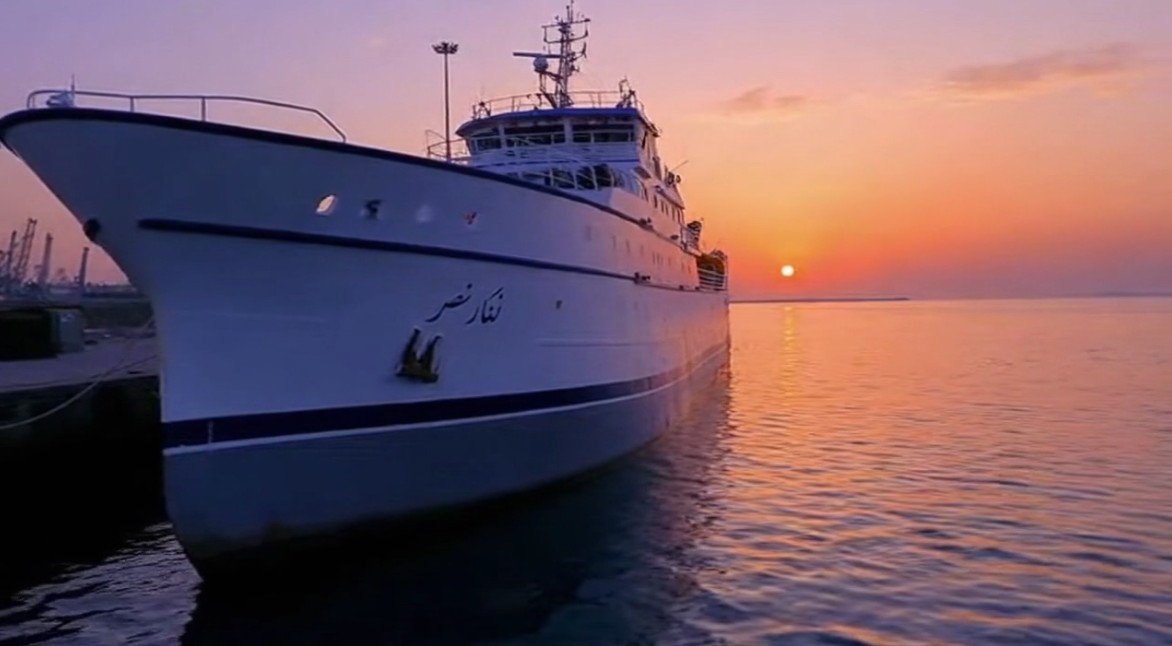 شرکت نگار نصر