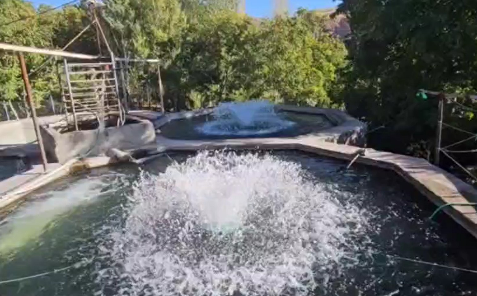 نگار نصر در تبریز