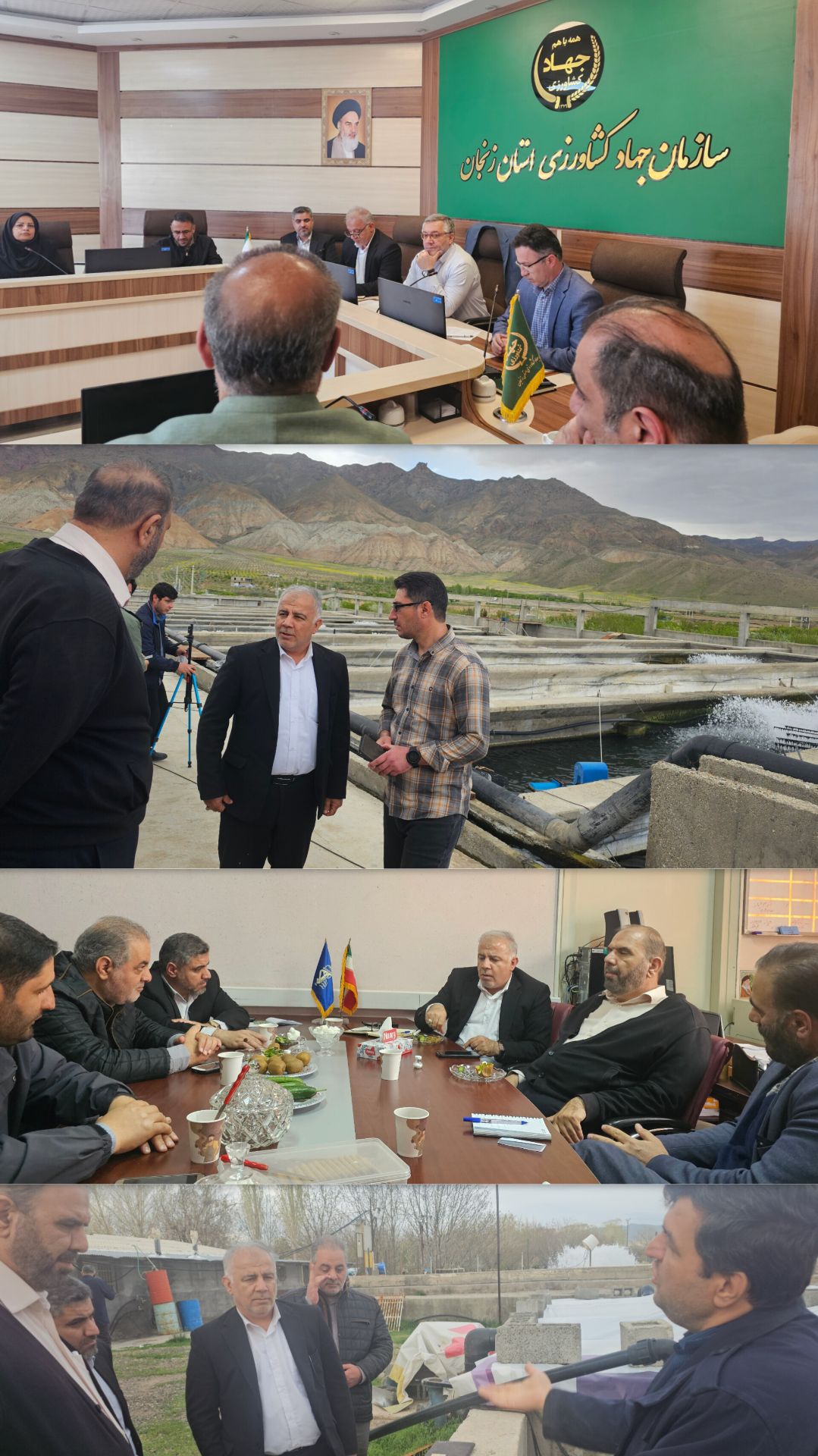 زنجیره تولید آبزیان