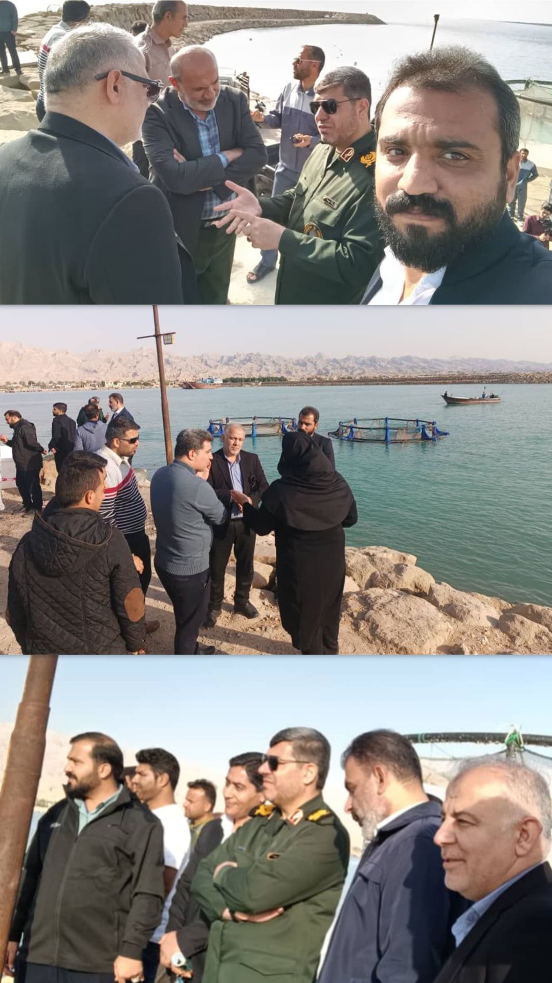 پرورش مردمی ماهی