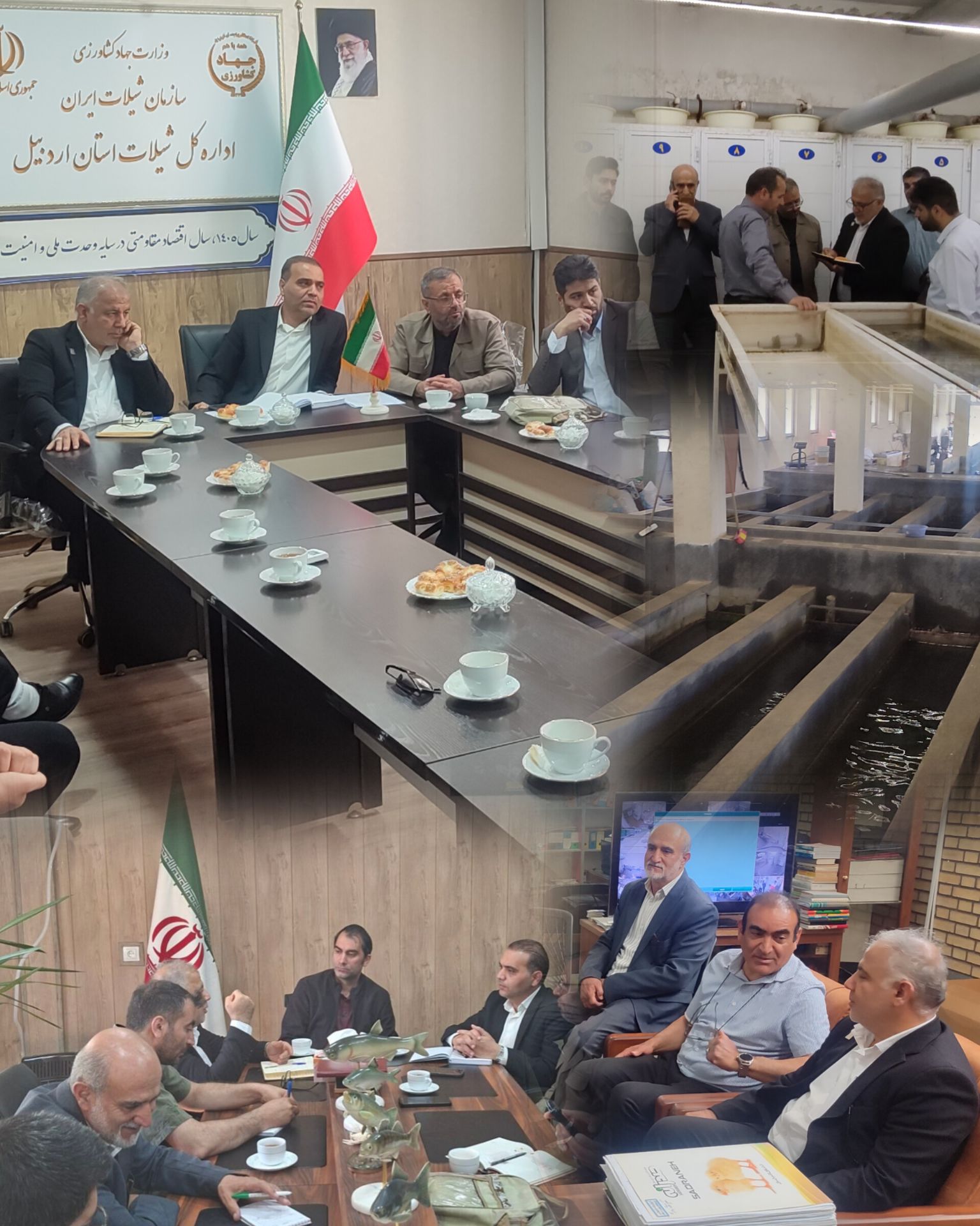 شیلات اردبیل