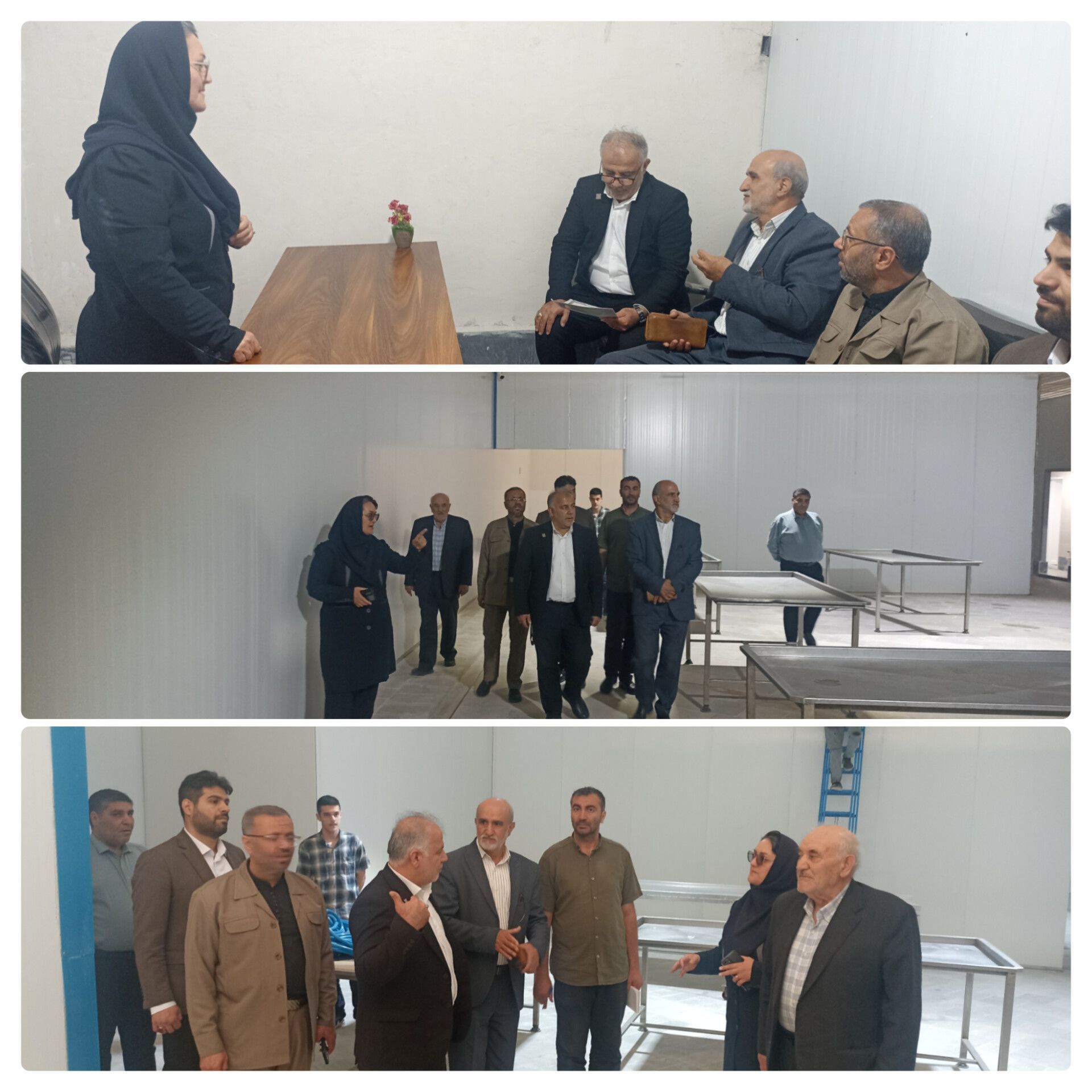 کیا پروتئین سبلان