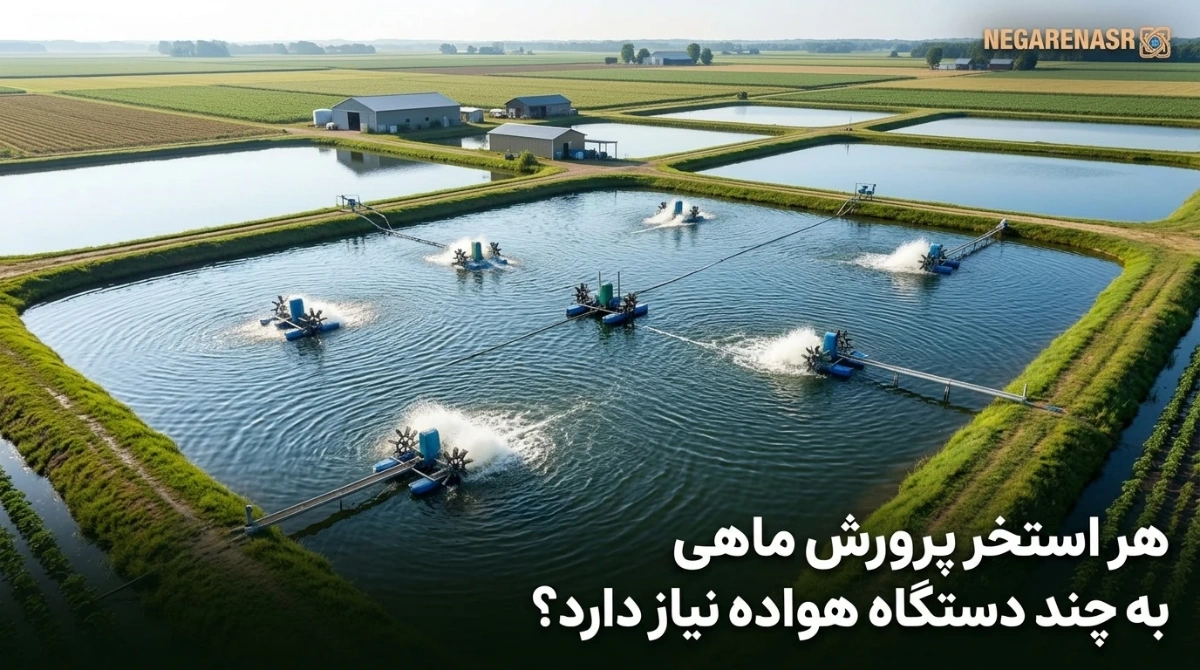 هر استخر پرورش ماهی به چند دستگاه هواده نیاز دارد؟