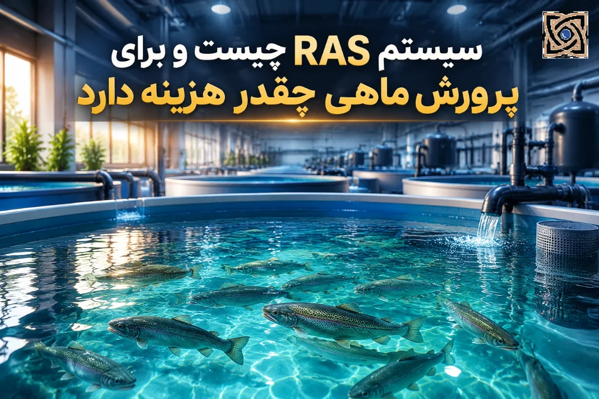 what-is-ras-fish-farming-cost-01 سیستم RAS چیست و برای پرورش ماهی چقدر هزینه دارد